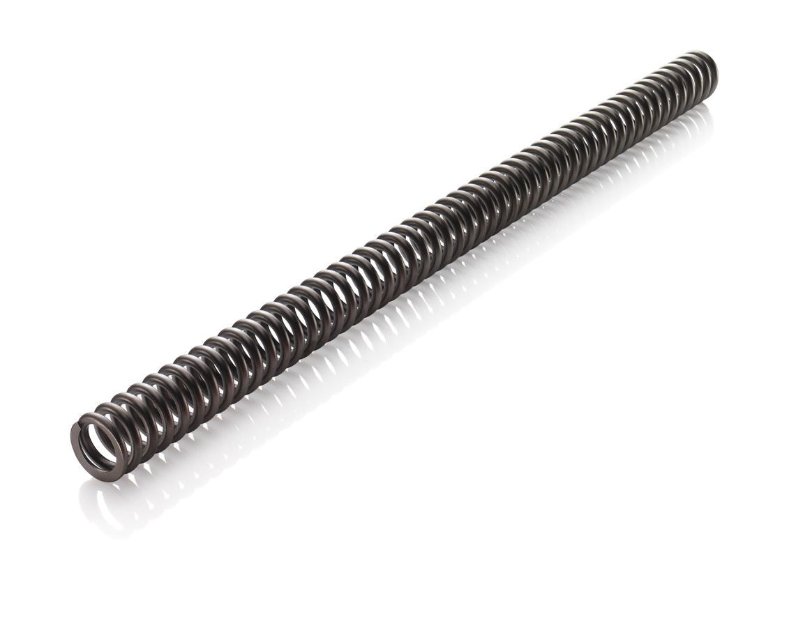 Fork spring