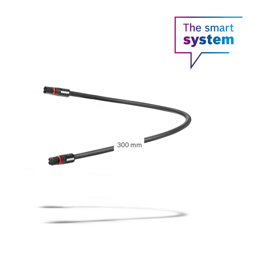 Displaykabel 300 mm  The Smart System