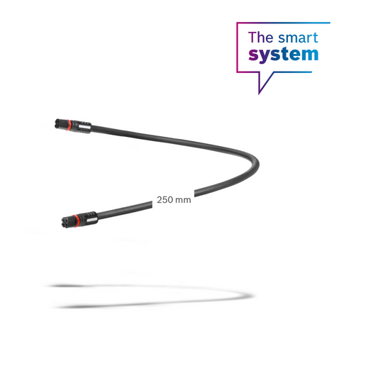 Displaykabel 250 mm  The Smart System